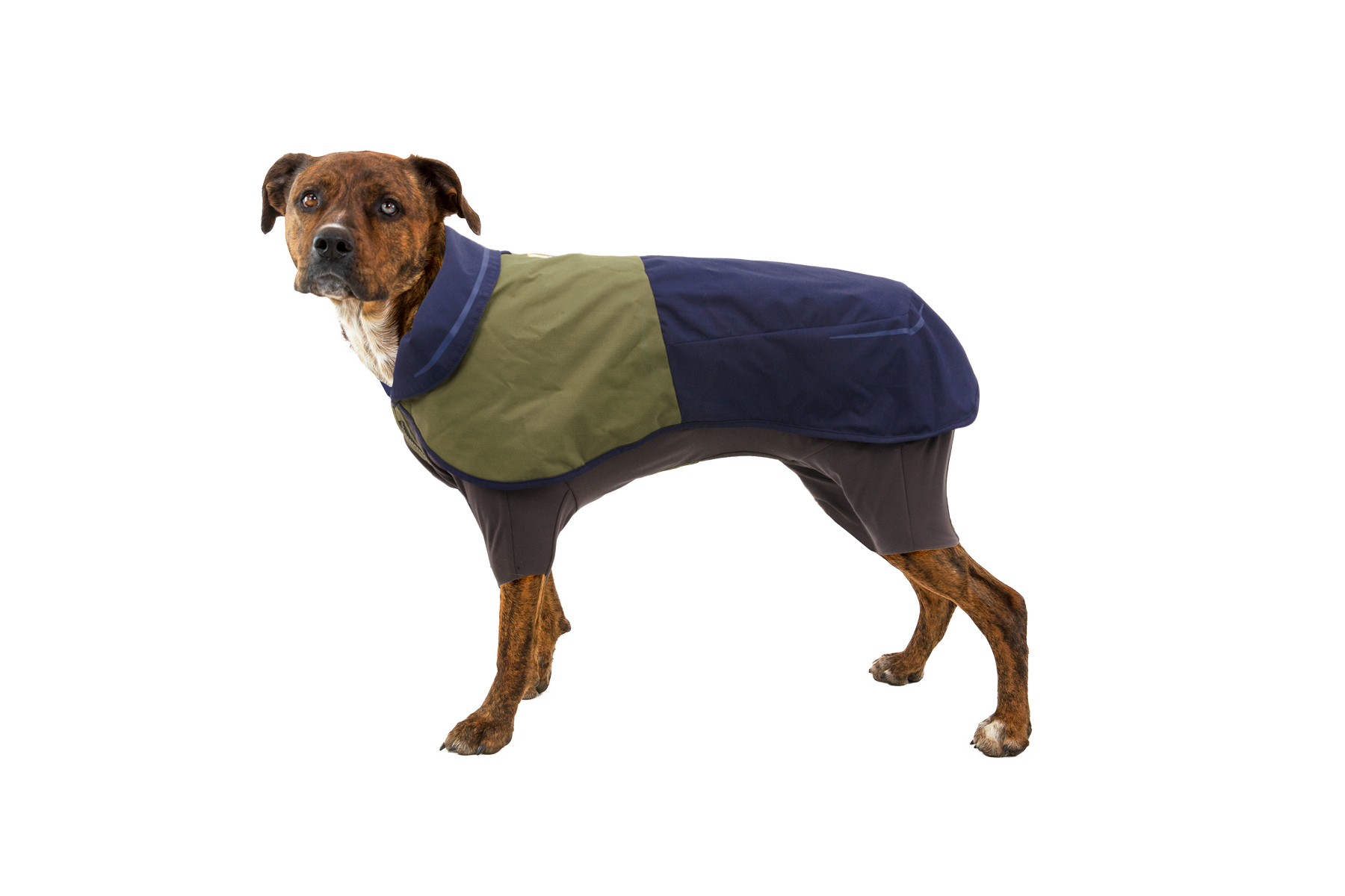 Sun Shower™ Coverall Dog Rain Suit - Image 2