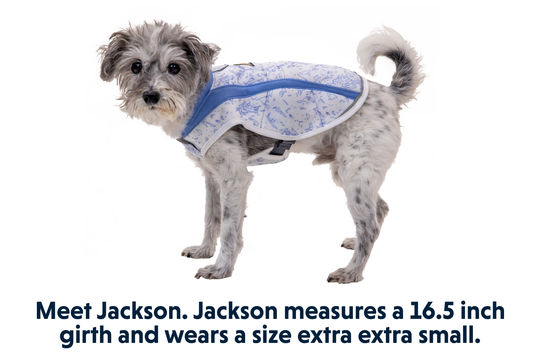 Swamp Coolerâ„¢ Cooling Dog Vest - Image 27