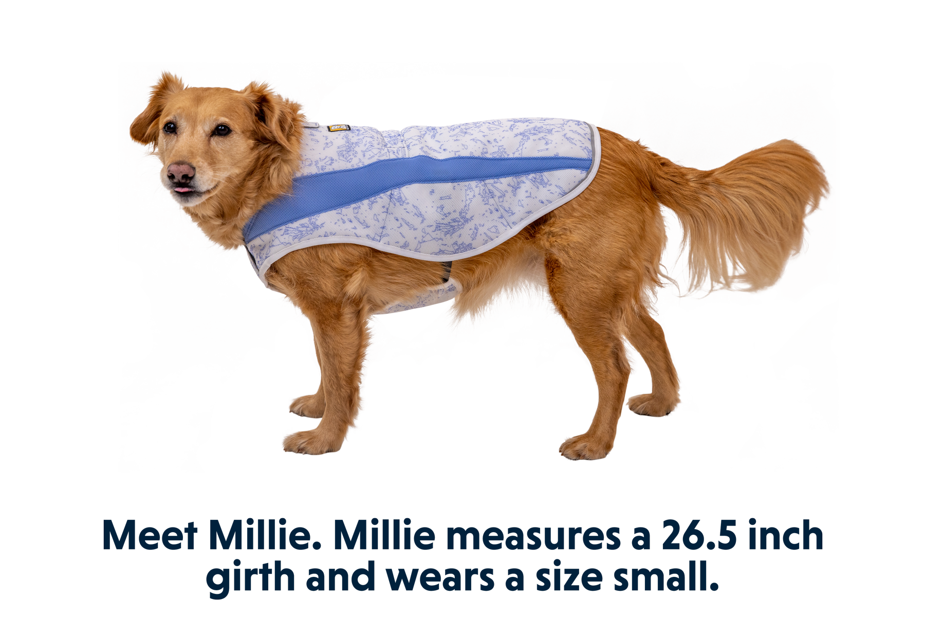 Swamp Coolerâ„¢ Cooling Dog Vest - Image 28