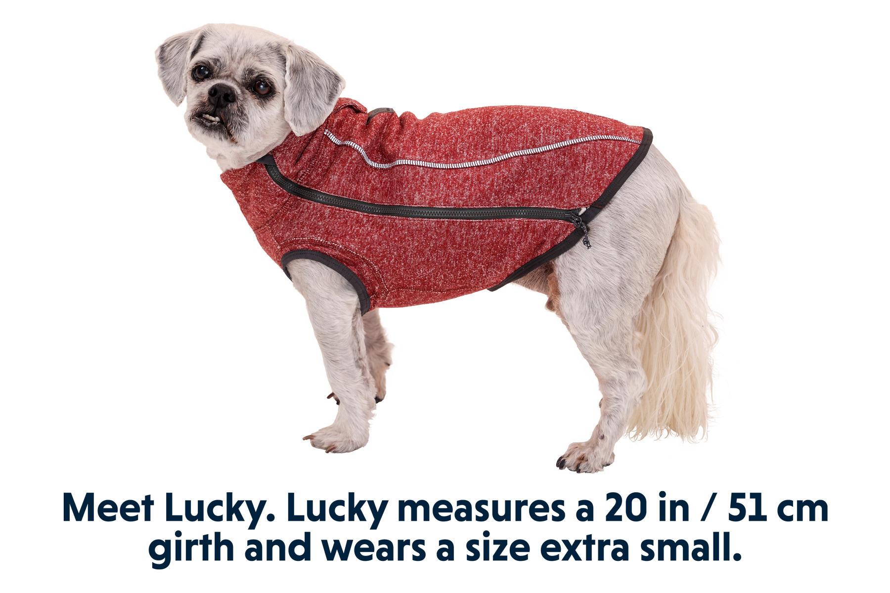 Hemp Houndâ„¢ Dog Sweater - Image 3