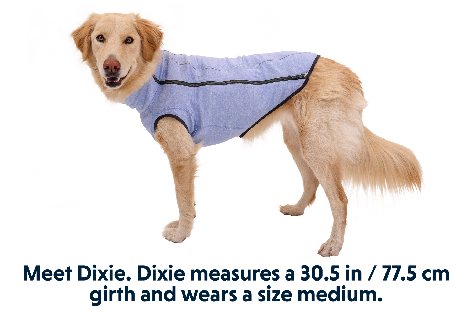Hemp Houndâ„¢ Dog Sweater - Image 10