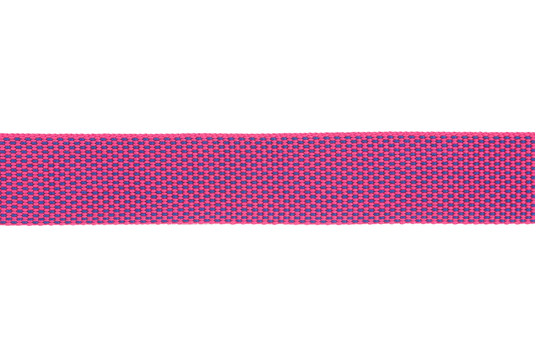 Hi & Lightâ„¢ Lightweight Dog Collar - Image 19
