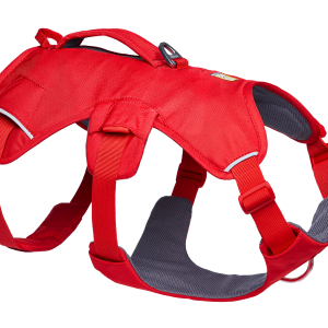 Web Master™ Dog Harness with Handle
