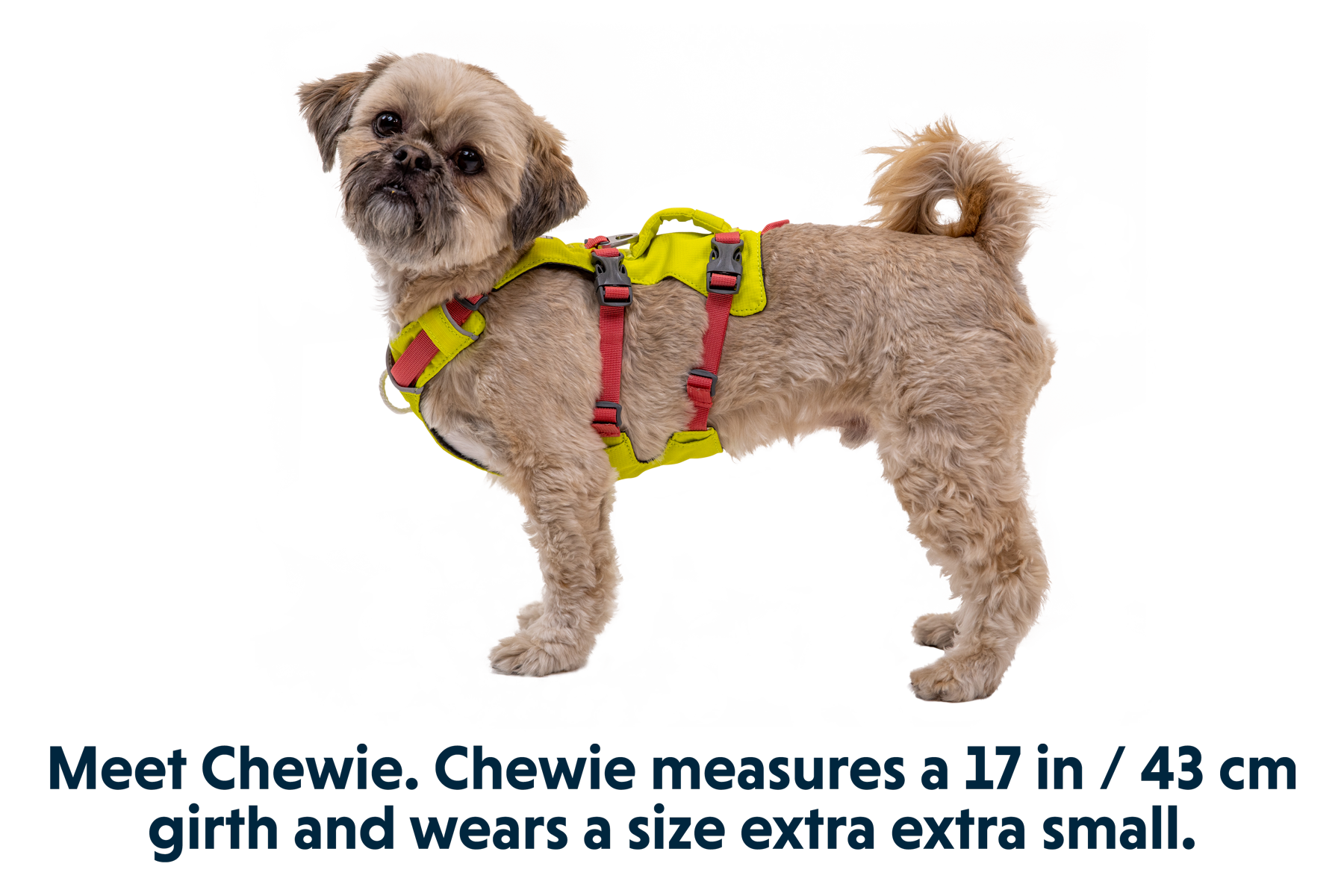 Flagline⢠Dog Harness with Handle - Image 4