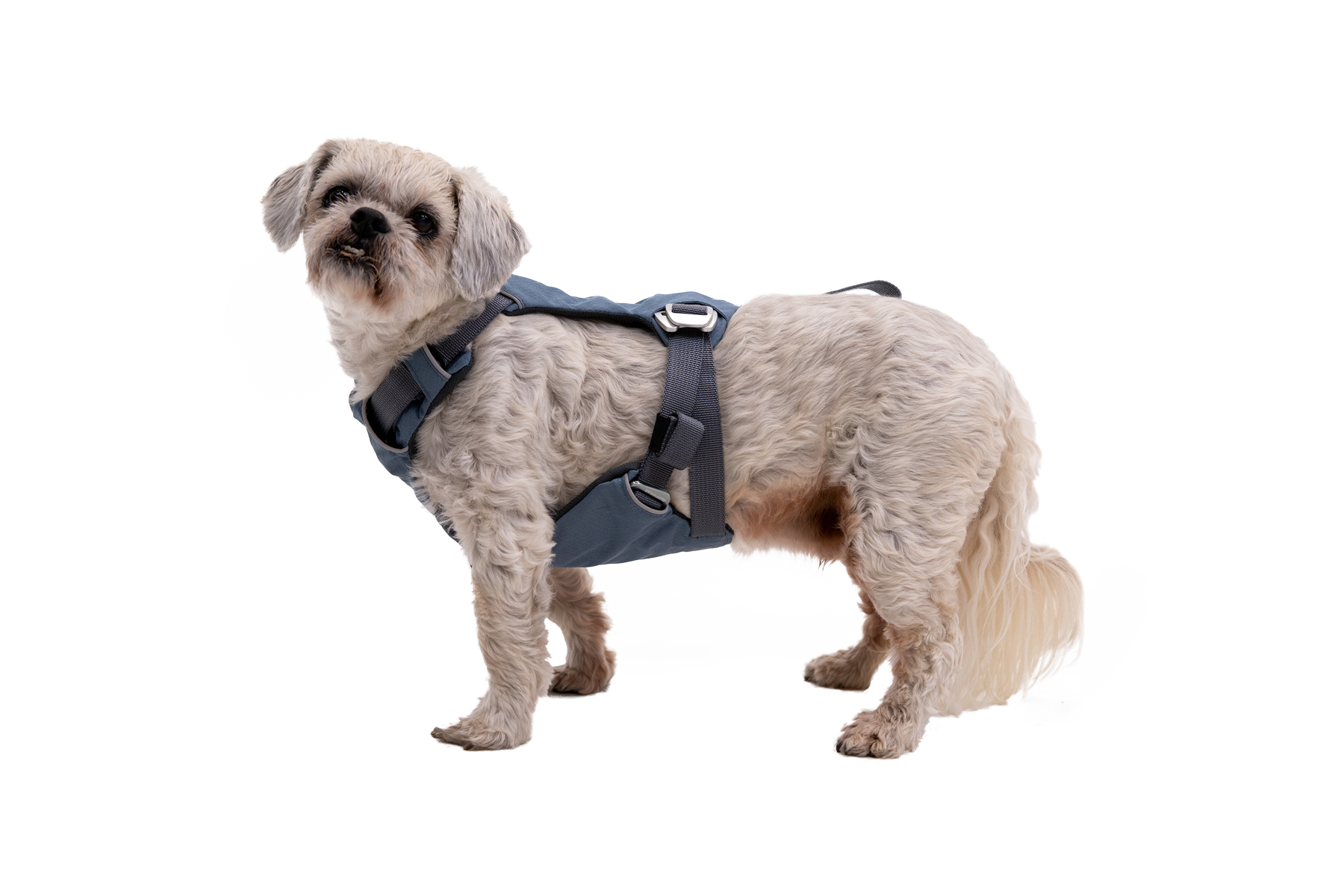 Load Up™ Dog Car Harness - Image 9