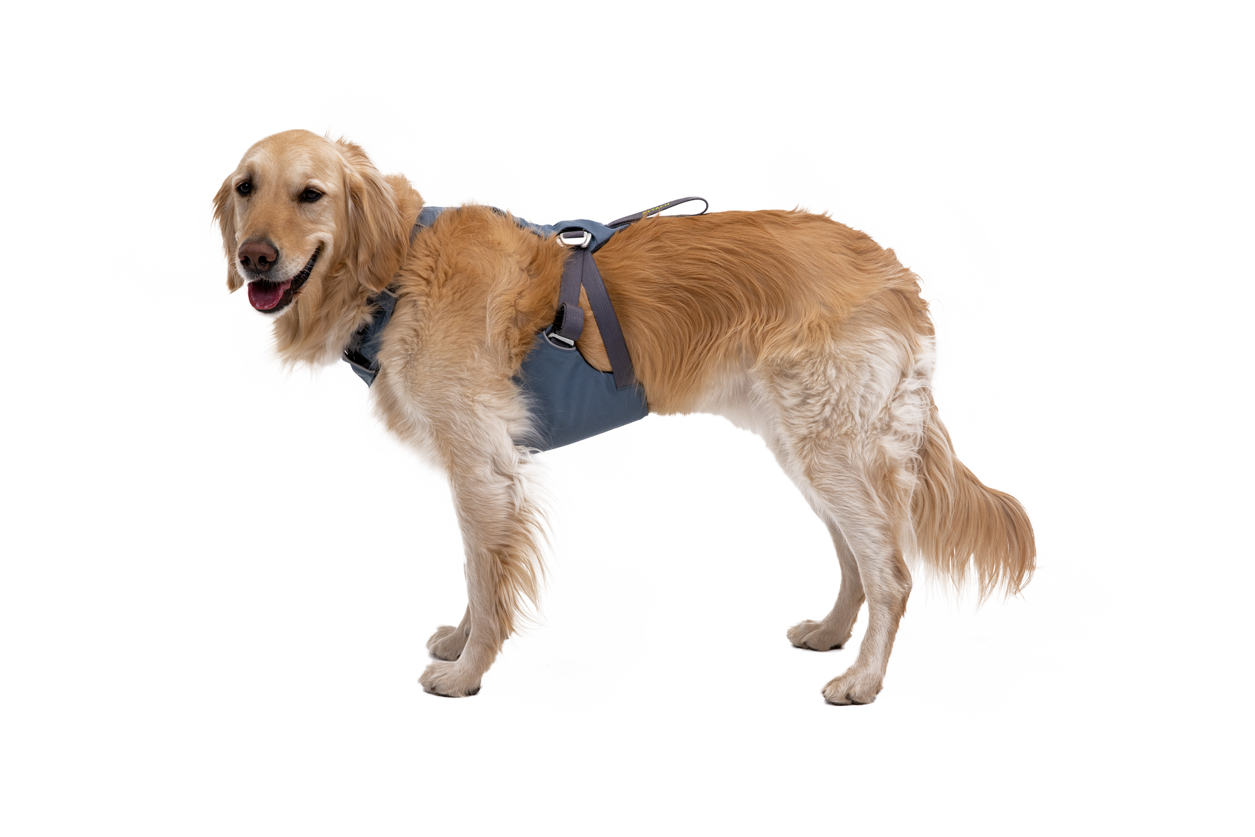 Load Up™ Dog Car Harness - Image 2