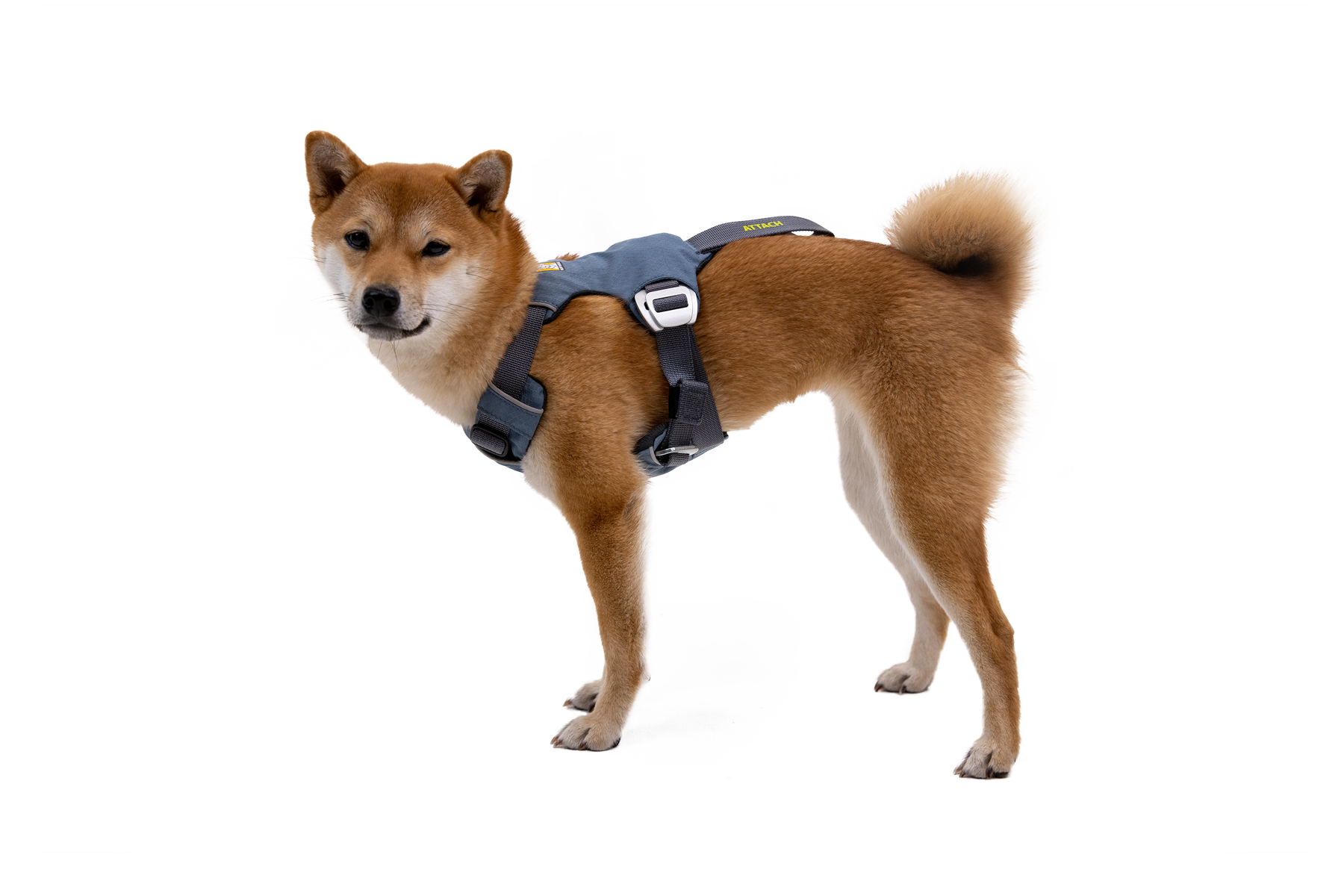 Load Up™ Dog Car Harness - Image 3