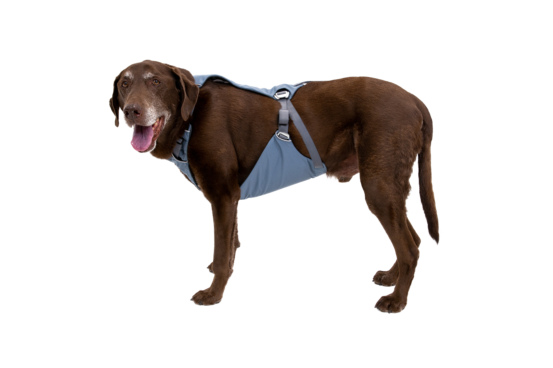 Load Up™ Dog Car Harness - Image 10