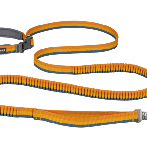 Roamer™ Bungee Dog Leash