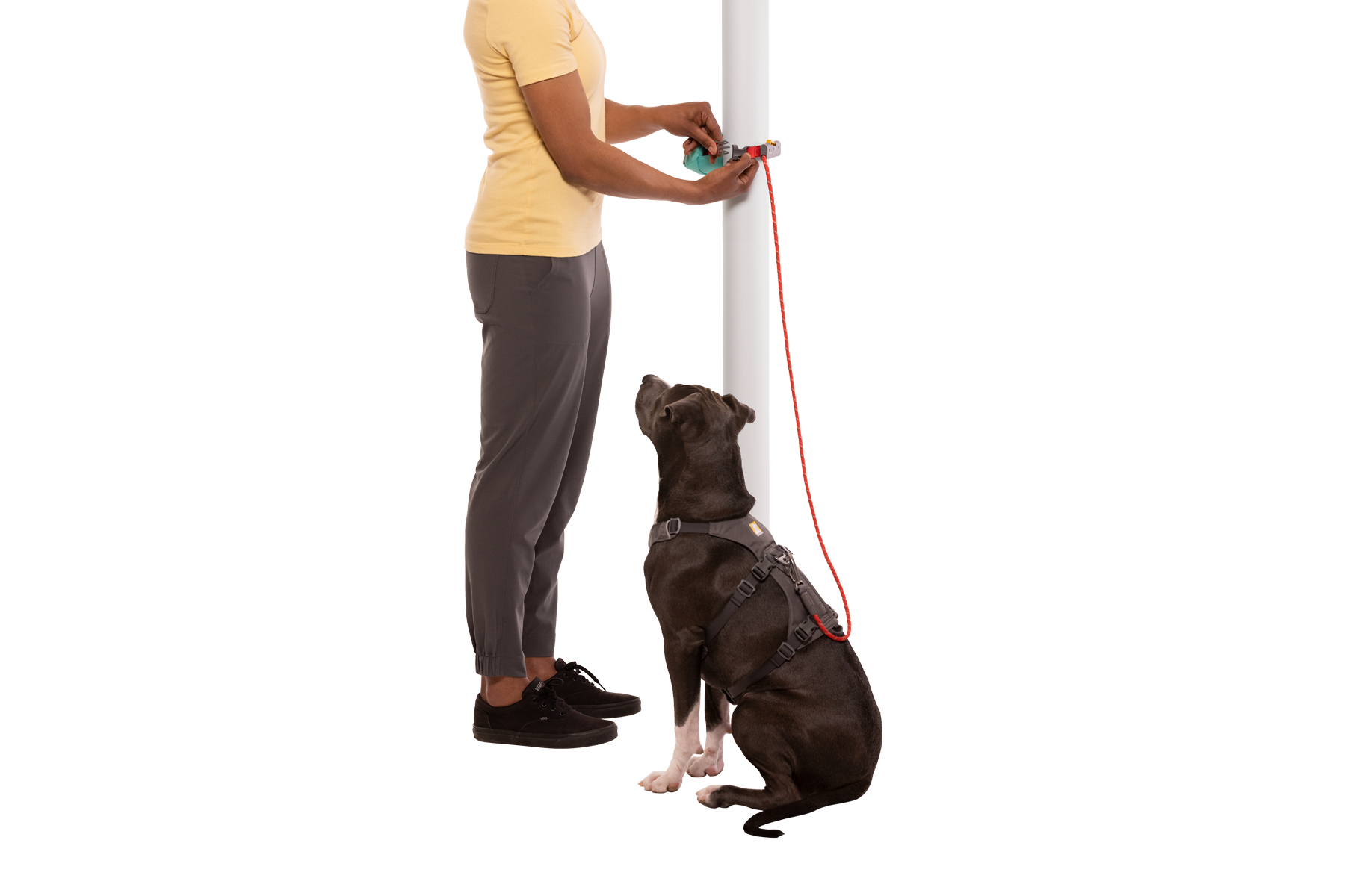 Hitch Hikerâ„¢ Leash - Image 21