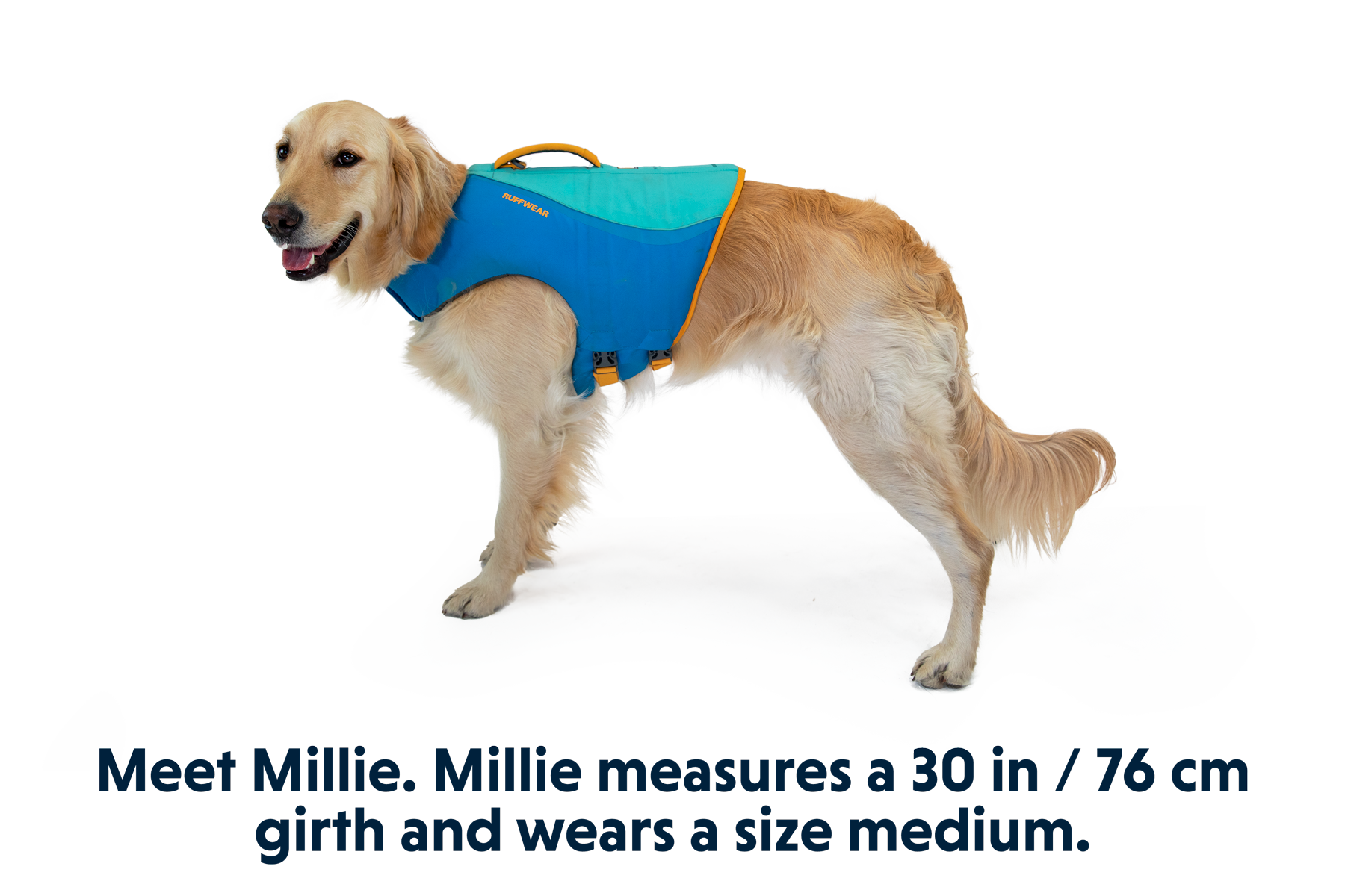 Float Coatâ„¢ Dog Life Jacket - Image 14