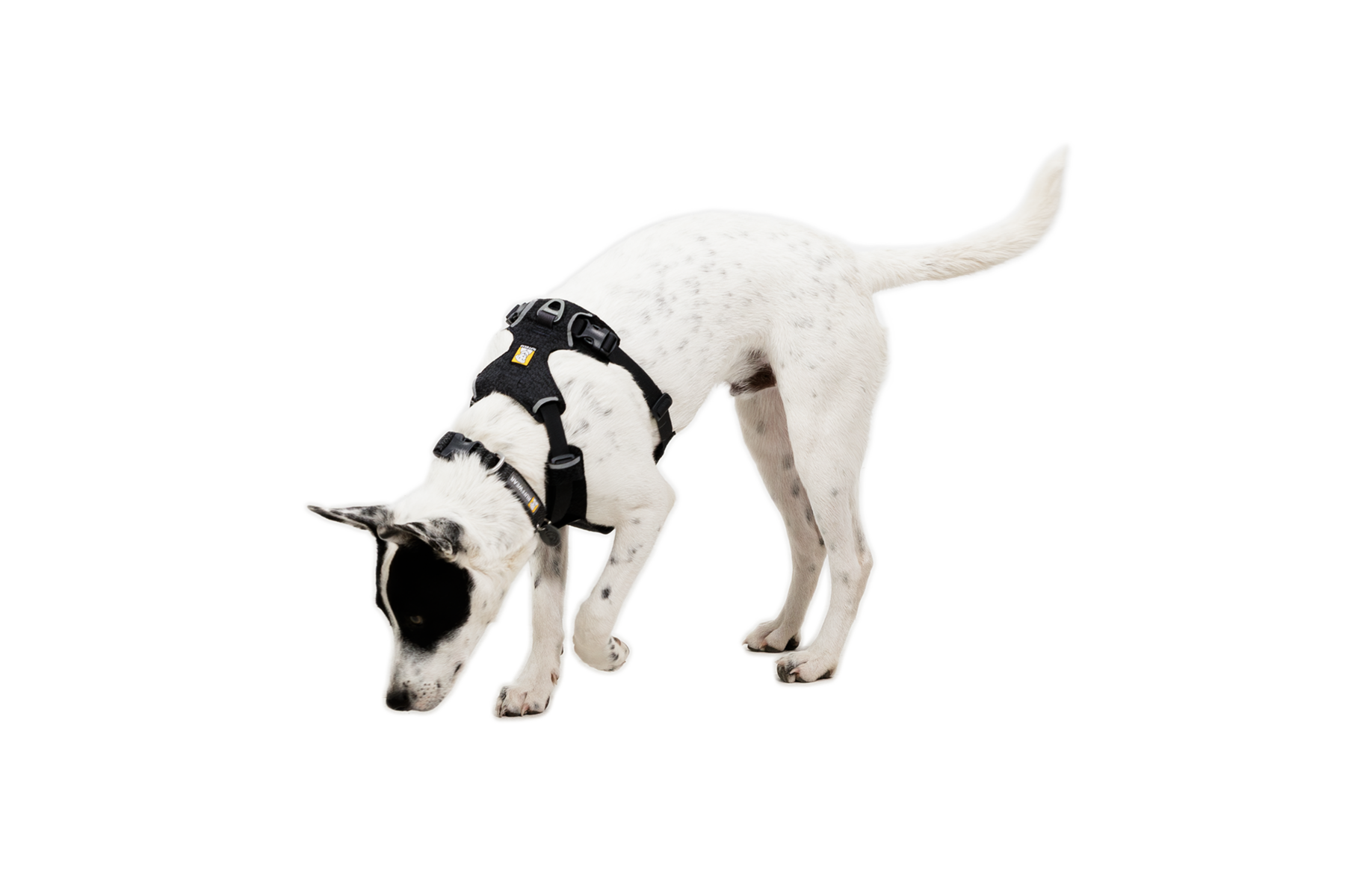 Front RangeĀ® Flex Harness - Image 26