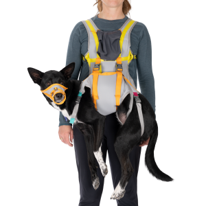 BackTrak™ Dog Evacuation Kit