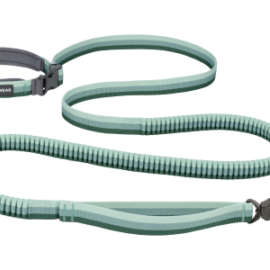 Roamer Lock™  Bungee Dog Leash