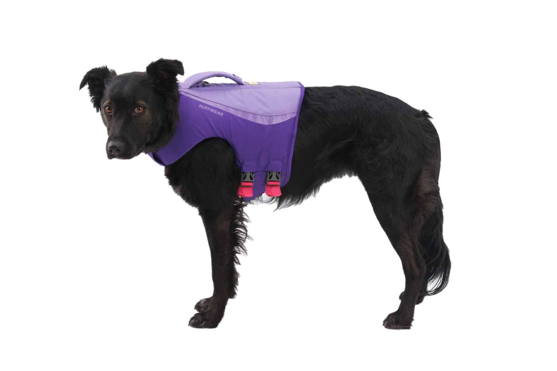 Float Coatâ„¢ Dog Life Jacket - Image 8