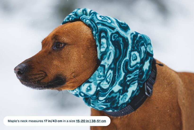 Mt. Hoodie™ Warming Neck Gaiter - Image 18