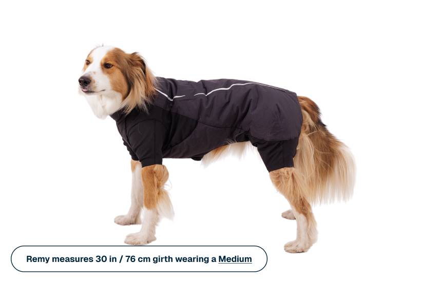 Powder Hound™ Waterproof Insulated Coverall - Image 8
