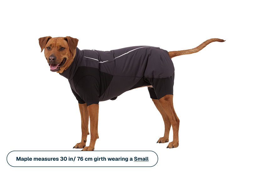 Powder Hound™ Waterproof Insulated Coverall - Image 9