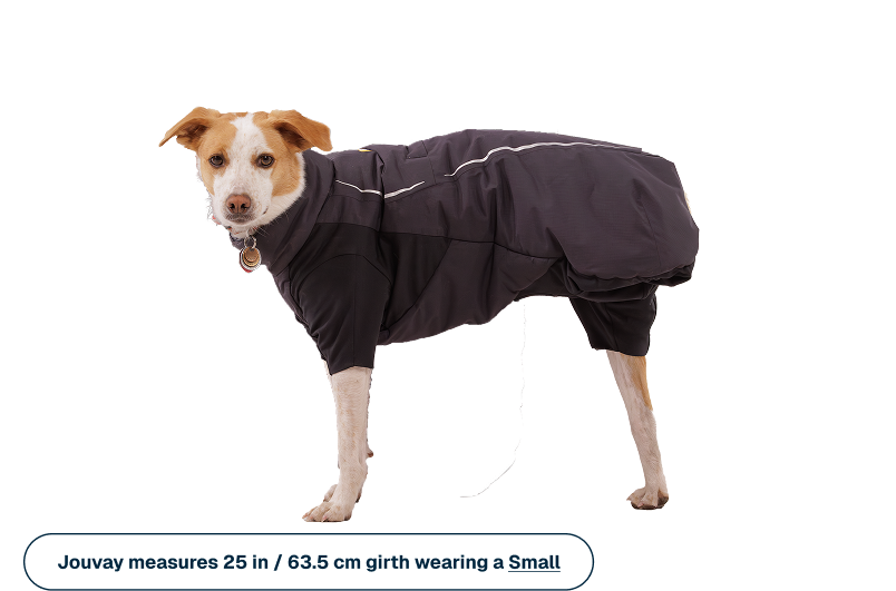 Powder Hound™ Waterproof Insulated Coverall - Image 10