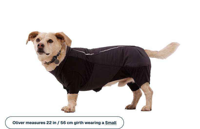 Powder Hound™ Waterproof Insulated Coverall - Image 11