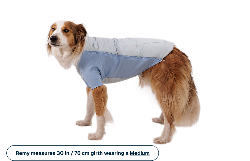 Powder Hound™ Waterproof Insulated Jacket - Image 15