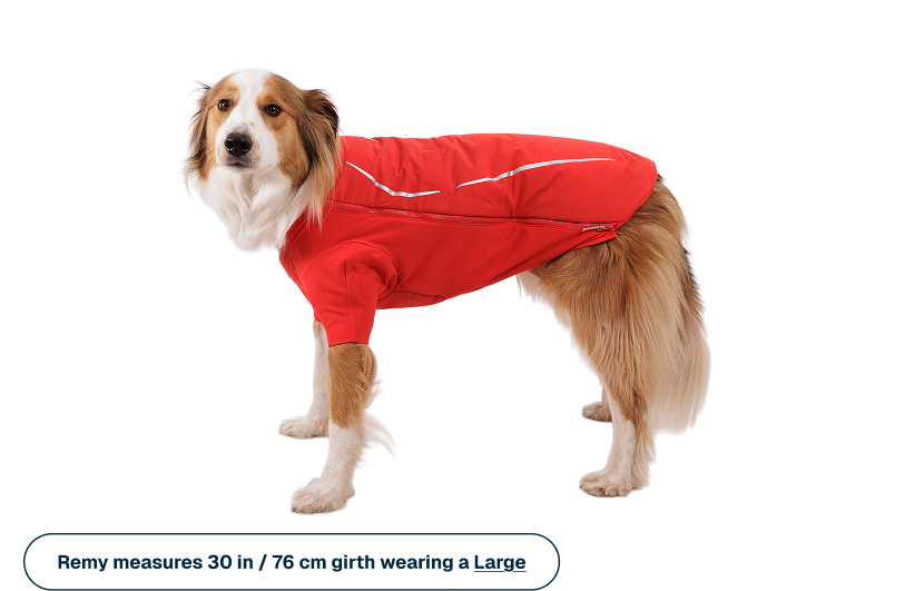 Powder Hound™ Waterproof Insulated Jacket - Image 16