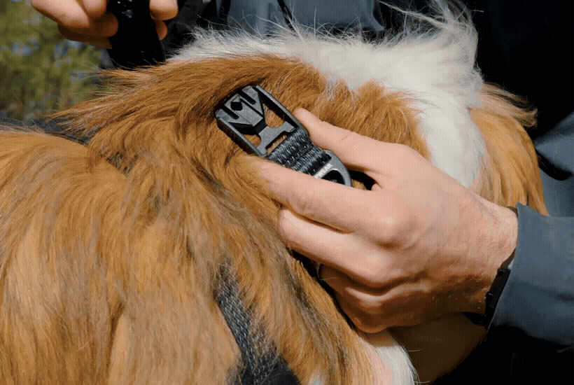 Ridgeline™ Collar - Image 4